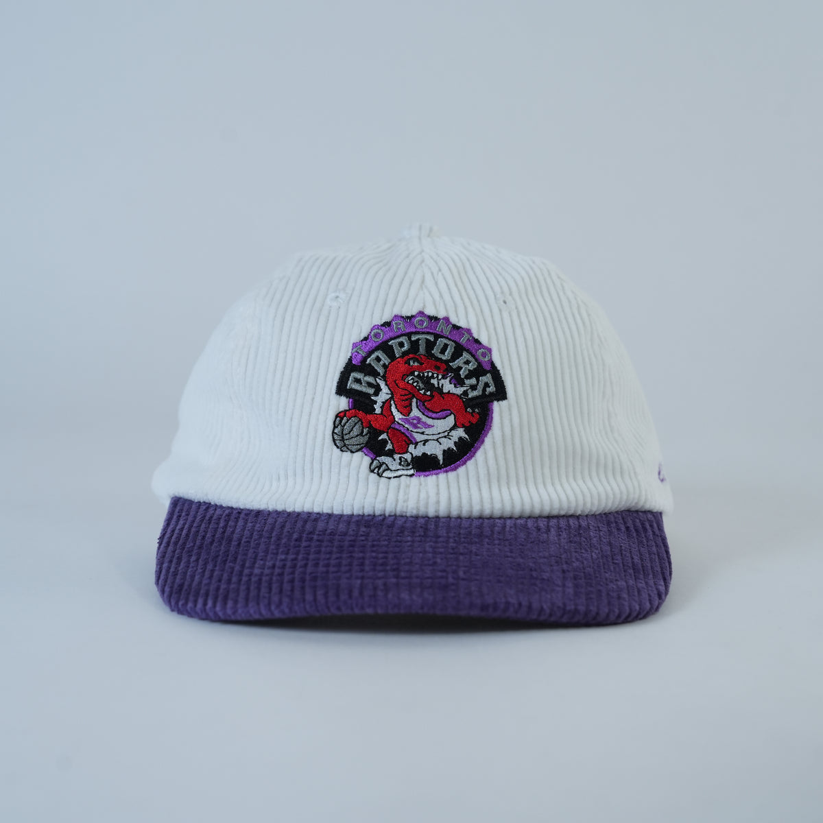 Raptors Retro Hat — front
