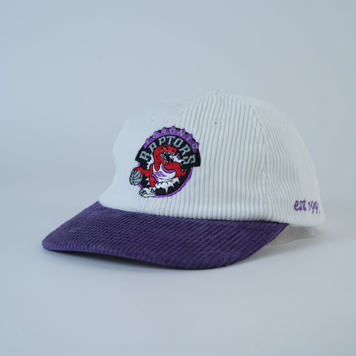 Raptors Retro Hat — front quarter