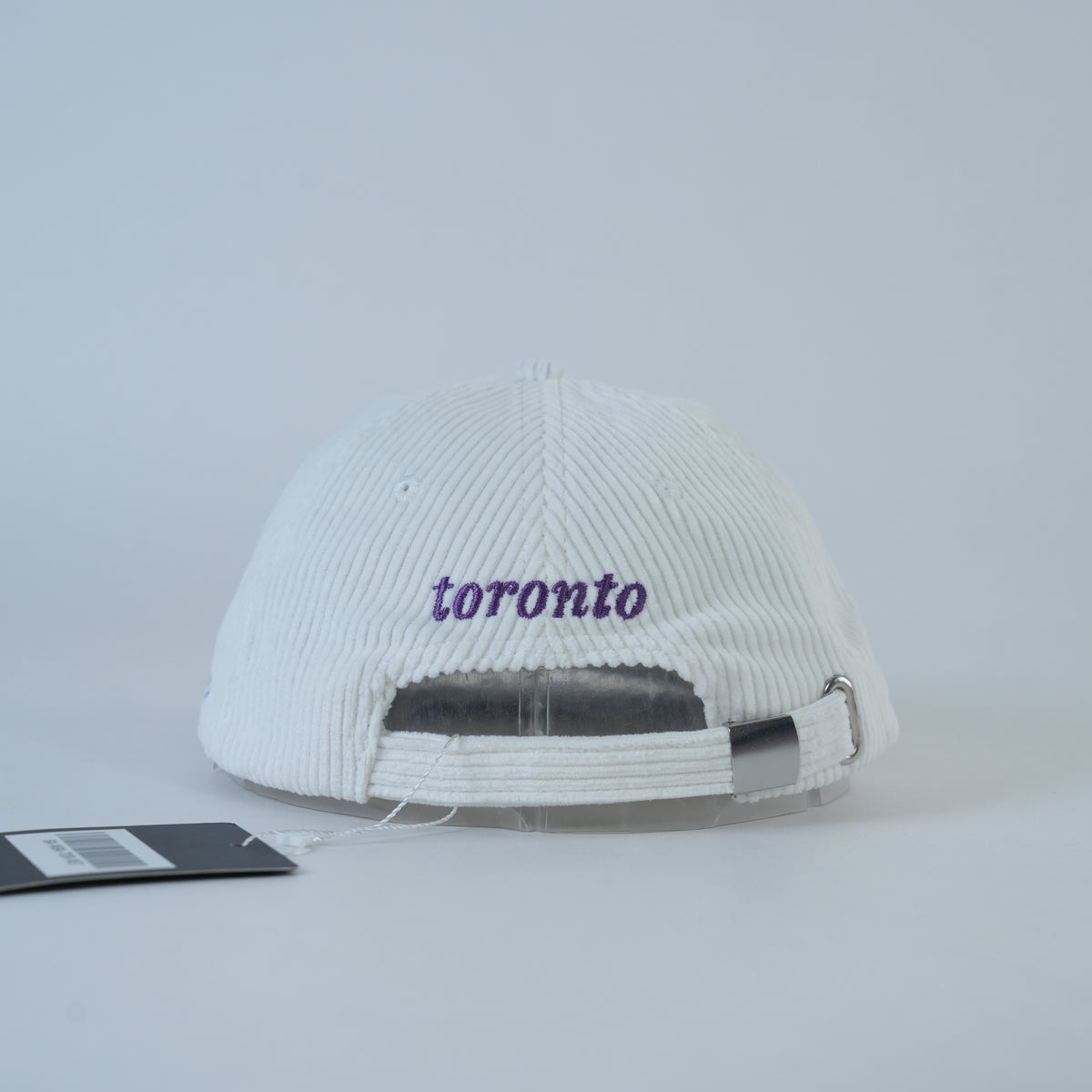 Raptors Retro Hat — back