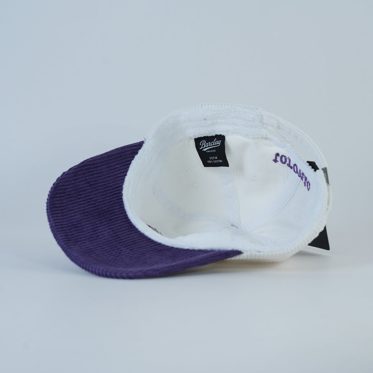 Raptors Retro Hat — underneath